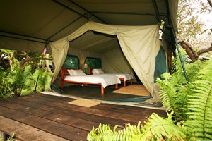 Couple Tent Full Ensuite (1)