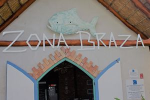 zona-braza (36)