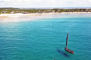 Neptunes Lodge and Beach Bar Barra (14)