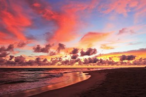 Neptunes Lodge and Beach Bar Barra (23)