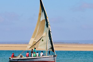 Dhow Trips