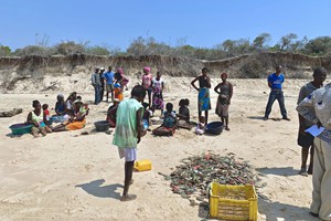 BD Point Mozambique Activities (1)