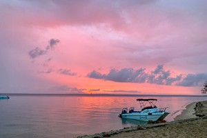 BD Point Mozambique Activities (4)