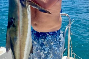 Fishing Charters BD Point (7)