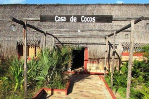 Casa De Cocos (8)