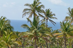 View from rooms