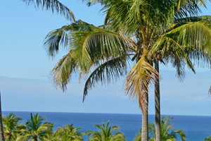 View from rooms 2