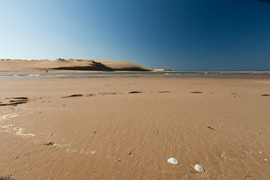 Vilanculos Beach Activities (23)