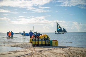 Vilanculos Beach Activities (30)