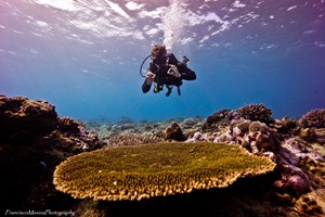 Vilanculos Beach Activities (6)