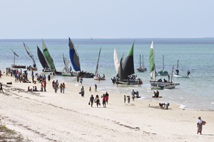 Vilanculos Beach and Island Views (11)