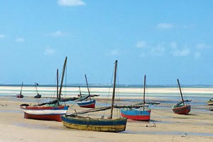 Vilanculos Beach and Island Views (4)