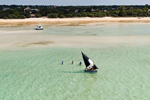 Dhow Sailing (1)