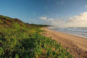 loggerhead-lodge-unspoiled-beaches-scaled-1