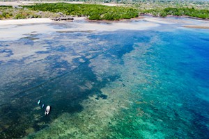 Kayaking to the mangroves