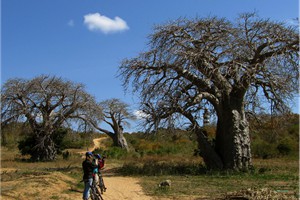 Mountain biking