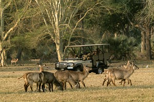 Muzimu Lodge Safari Activities (3)