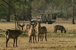 Muzimu Lodge Safari Activities (4)