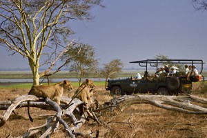 Muzimu Lodge Safari Activities (8)